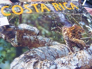 biblioteca 060 copy.jpg